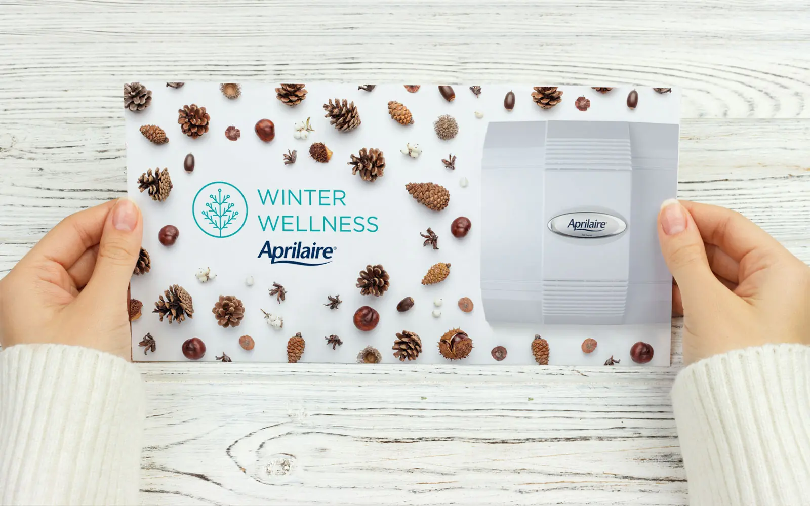 Kramer- Madison-Aprilaire-Winter-Wellness-Postcard