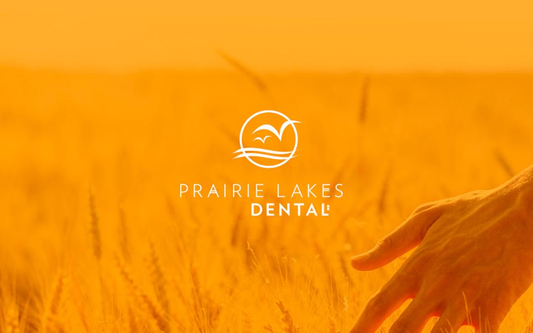Case Study: Prairie Lakes Dental
